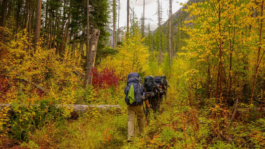 How to Plan Backpacking Food: 10 Tips from a Resupply Coordination Service